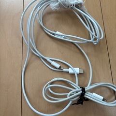 充電器2本セット　特殊タイプ
