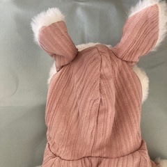 犬　お洋服の画像