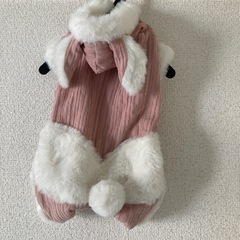 犬　お洋服の画像