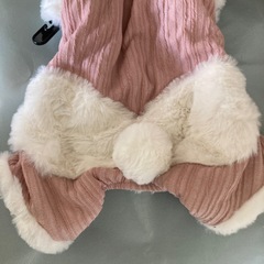 犬　お洋服の画像