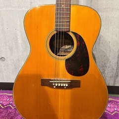 Suzuki Classic Guitar ギター　Model 80 木製 6弦 ギターの画像