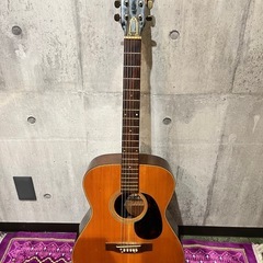 Suzuki Classic Guitar Model 80 木...