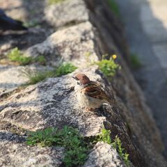 気軽にお話したりお出かけできる友達がほしいです◎