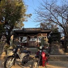 【決まりました】ホンダリトルカブの画像