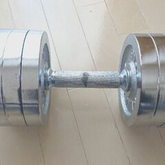 可変式ダンベル 20kg