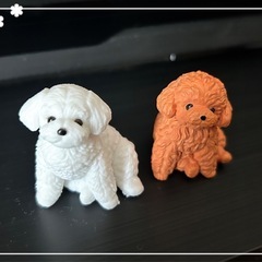 マルチーズ　トイプードル　カプセルトイ