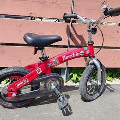 Henshin Bike（ヘンシンバイク）の画像