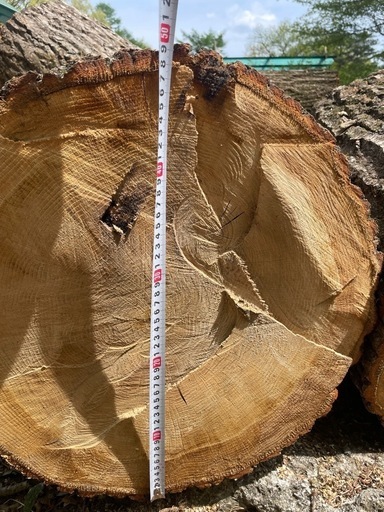 薪用　丸太　8本直径約50センチ　長さ60センチ前後のもの