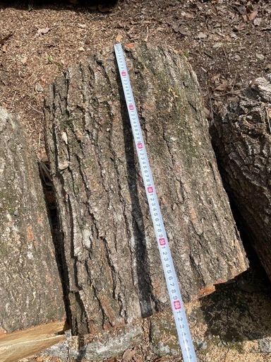 薪用　丸太　8本直径約50センチ　長さ60センチ前後のもの 薪用 丸太 8本直径約50センチ 長さ60センチ前後のもの