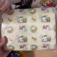 ピクニックお皿セット