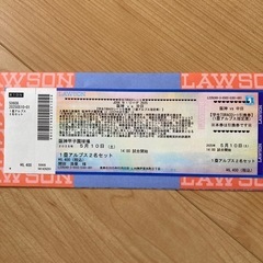 学生TORACOシート 5/10 阪神vs中日 1塁アルプス 2...