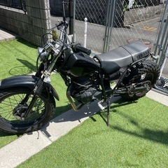 TW200の画像