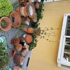 植木鉢