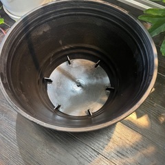 睡蓮鉢🪷メダカ鉢🐟　一式‼️