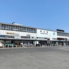 軽く飲める人いたら