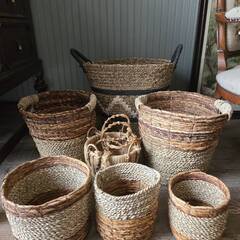 バスケットまとめ売り①