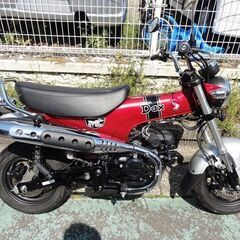 ホンダ　DAX125　ダックス125　4166Km　シフトインジケーター付き 海老名市お引取りの画像