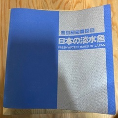 日本の淡水魚 山渓カラー名鑑