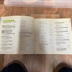日本の淡水魚 山渓カラー名鑑の画像