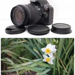Canon一眼デビューに！ Kiss X7一式 お散歩 スマホ転送 高画質 軽量 一眼レフカメラの画像