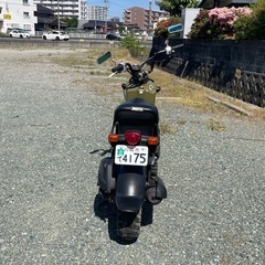 ホンダ　ズーマーの画像
