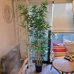 IKEA フェイカ 竹 フェイク 観葉植物