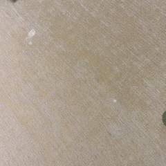 ラグ･カーペットの画像