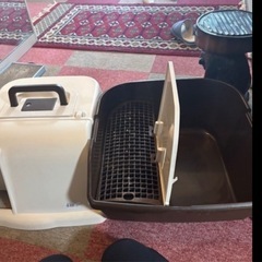 猫トイレの画像