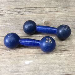 ダンベル 2点セット 2kg 筋トレ フィットネス トレーニング...