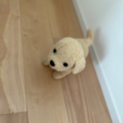 電池わんわんおもちゃ無料の画像