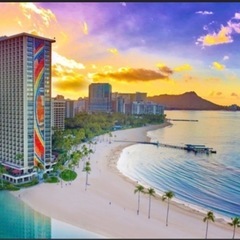 ハワイ好きの方🌴 情報交換しませんか？ - 町田市