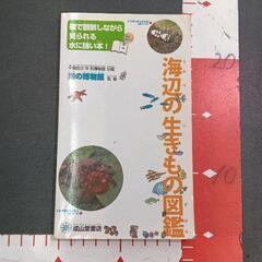0505-206 本