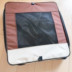決まりました！