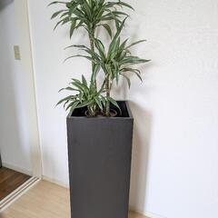 植木鉢　鉢カバー　木目調　2個