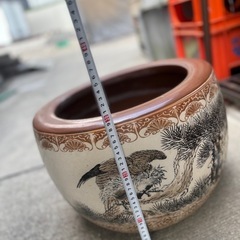 火鉢　メダカ飼育の画像