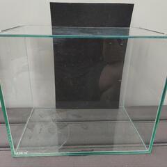 オールガラス水槽（30cmx20cmx25cm）