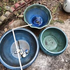 睡蓮 メダカ用水鉢 3つ中古 引き取りのみの画像