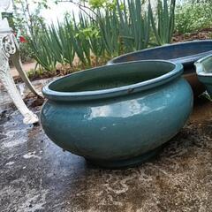 睡蓮 メダカ用水鉢 3つ中古 引き取りのみの画像
