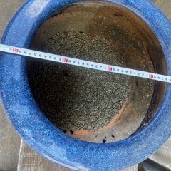 火鉢　メダカ飼育の画像