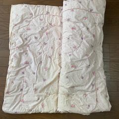 取りに来てくれる方に差し上げます。夏掛け綿布団、タオルケット、ファスナー付シーツセットの画像