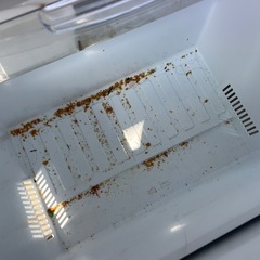 現状販売　2014年三菱電機製335L冷蔵庫の画像