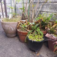 500円or私の出品している1000円未満の品物をお支払いします...