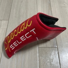 テーラーメイド パターの画像