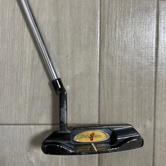 テーラーメイド パターの画像
