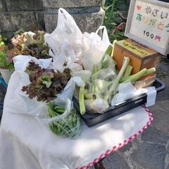 野菜