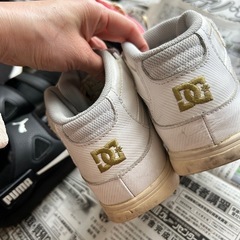 DC スニーカーの画像