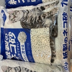 紙製ネコ
砂9 個セットの画像