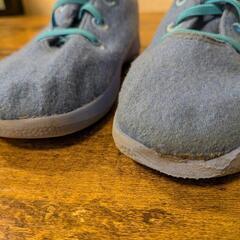 Allbirds Kid ウールランナー ブルー 18cmの画像