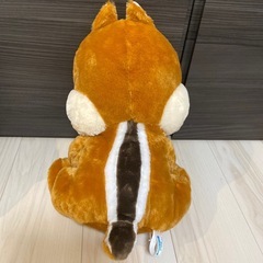 デールの画像