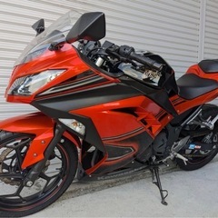   カワサキ　ニンジャ250  kawasaki Ninja25...